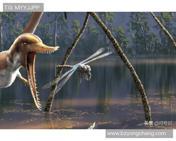 斯通斯的传奇之旅：探索摇滚乐的巅峰与历史的交汇